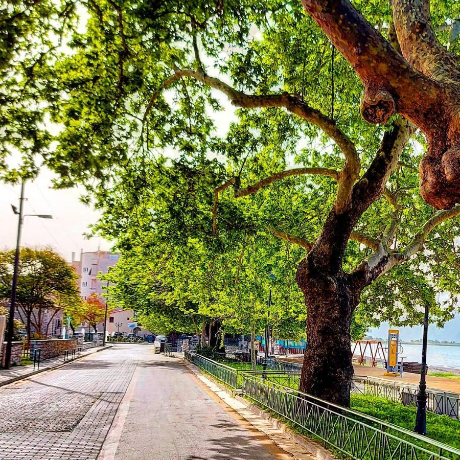 Nafpaktos Beach Luxury Suites Buitenkant foto